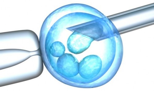 oocyte freezing