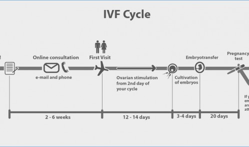 affordable ivf in india
