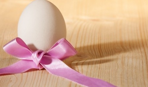 egg donation in India
