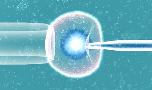 ivf clinic in hyderabad
