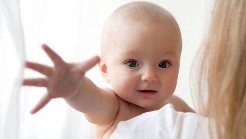 surrogacy