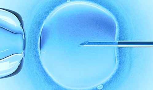 fertility clinic in Hyderabad
