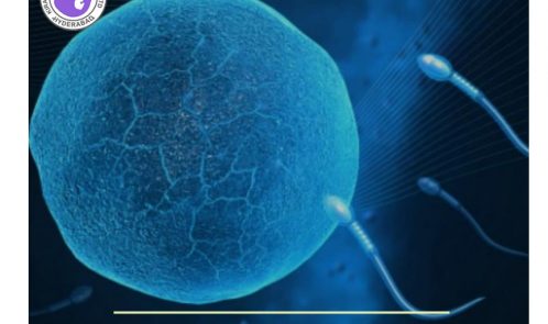 ivf_treatment_in_hyderabad