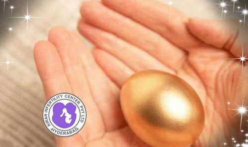 Egg donor ivf in hyderabad