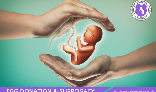 Egg donation centre in hyderabad