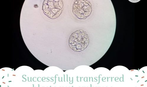 Blastocyst_embryos_Treatment_in_Hyderabad