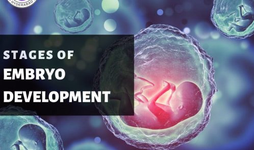 Embryo_Treatment_in_Hyderabad