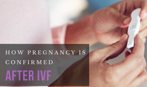 How pregnancy is confirmed after IVF