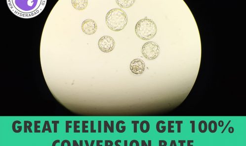Blastocyst Transfer