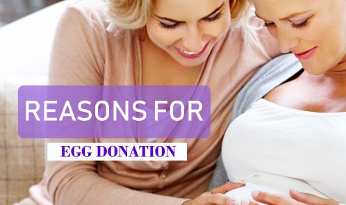 Reasons for Egg Donation..!