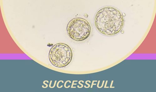 Embryos to one of our patients.