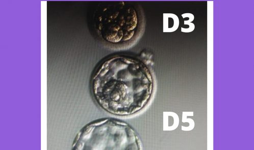 How does diabetes can affect a women's fertility?
