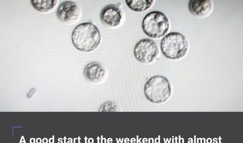 Blastocyst with 100% conversion rate
