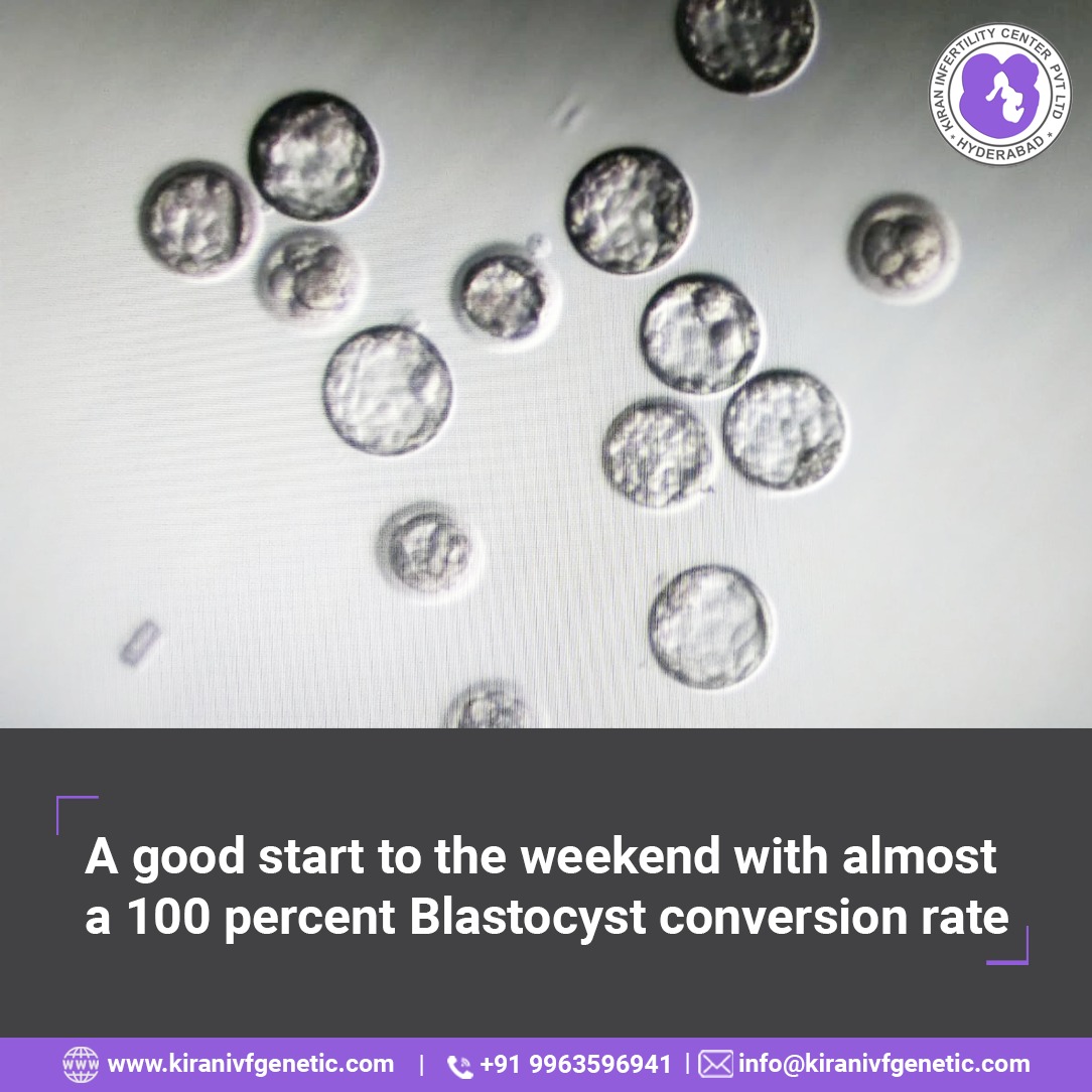 WhatsApp Image 2020-08-08 at 1.45.55 PM