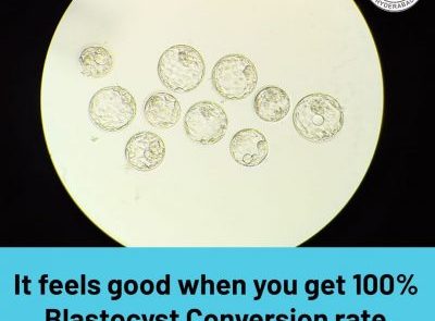 It feels good when you get 100% blastocyst conversion rate.