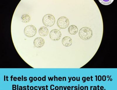 It feels good when you get 100% blastocyst conversion rate.