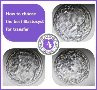 #blastocyst