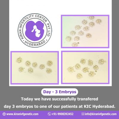 #Day 3 Embryo