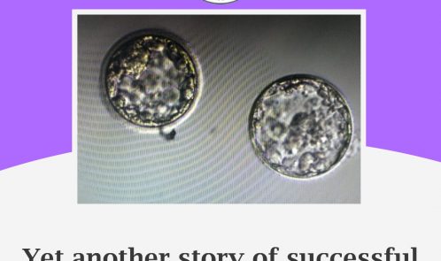 blastocyst hyd