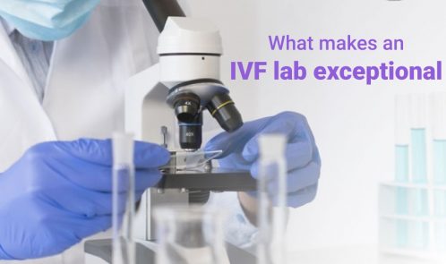 ivf lab