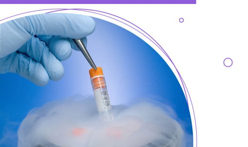 What are the freezing methods used for embryo freezing