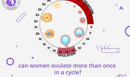 Can women ovulate more than once in a cycle