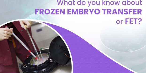What do you know about frozen embryo transfer or FET?