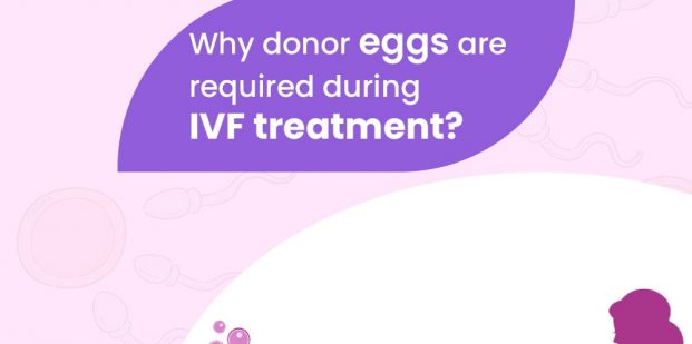 Why donor eggs are required during IVF treatment?