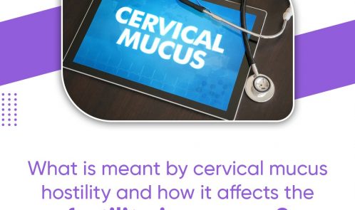 What is meant by cervical mucus hostility and how it affects the fertility in women?