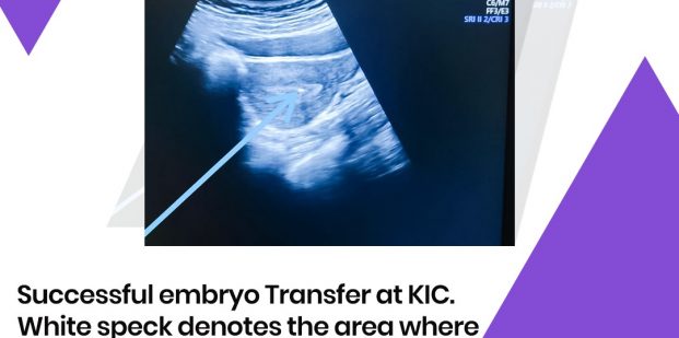  Exciting news to share!!! Successful embryo transfer at KIC