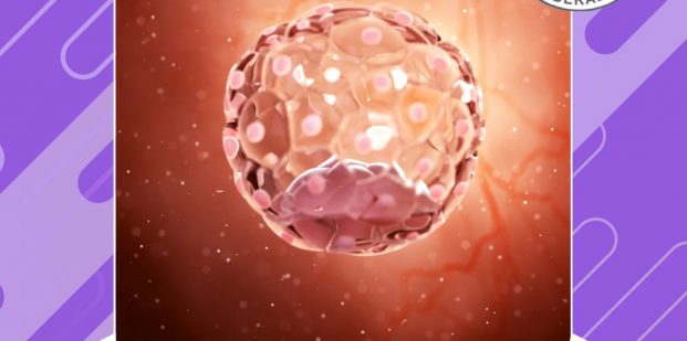 What do you mean by implantation failure?