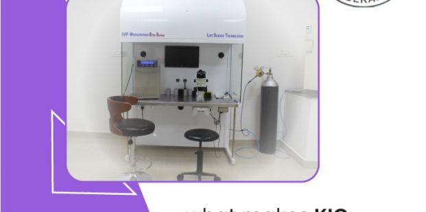 What makes an IVF lab exceptional 