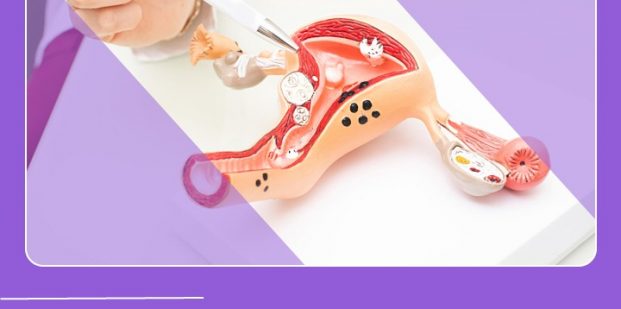 What Is the Normal Endometrial Thickness in Women?