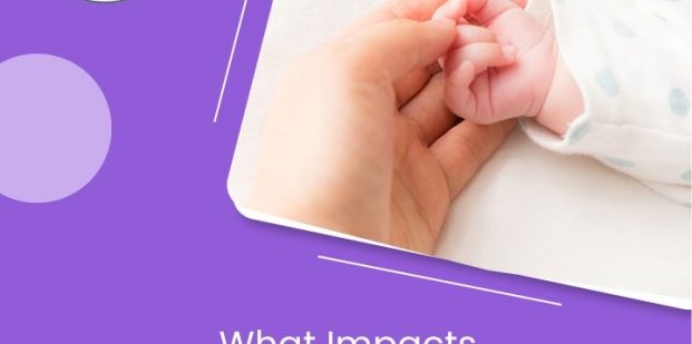 What impacts surrogacy success rates