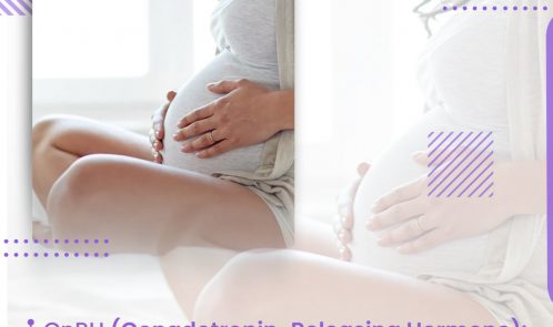 GnRH (Gonadotropin-Releasing Hormone): What Is It and How Does It Work