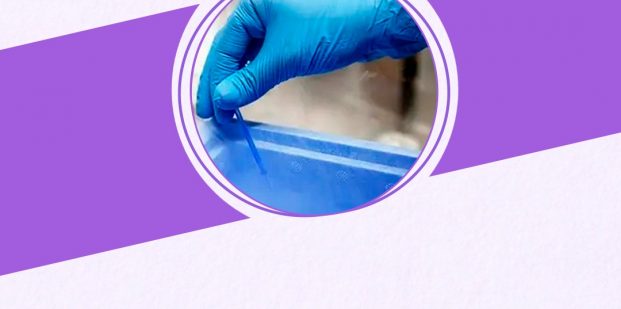 What is the Right Time to Freeze Your Eggs?