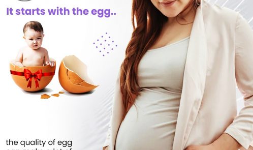quality of egg and IVF