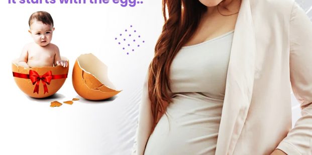 quality of egg and IVF