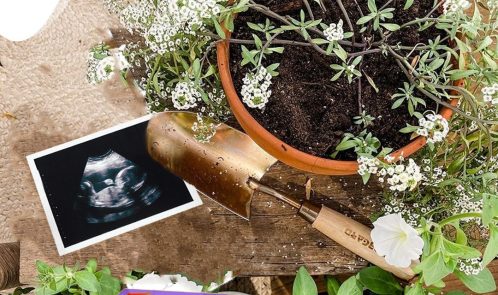 Growing plants and babies this summer