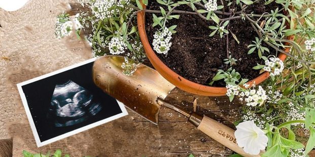 Growing plants and babies this summer