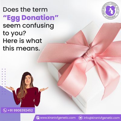 Does the term “Egg Donation” seem confusing to you? Here is what this means.