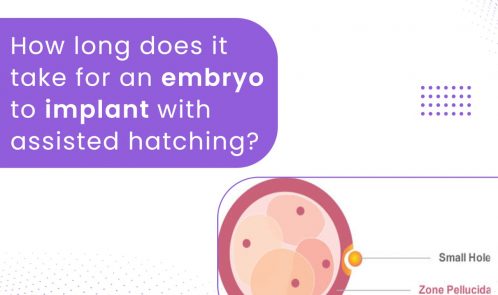 How long does it take for an embryo to implant with assisted hatching?