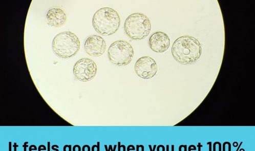 It feels good when you get a 100% blastocyst conversion rate.