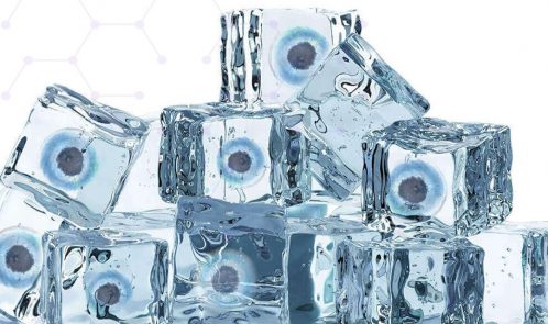 Must have heard doctors talking about egg freezing- Here are the details