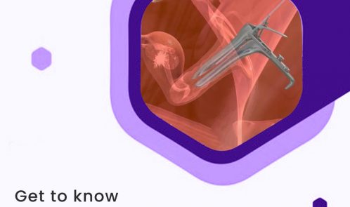 Get to know in detail how blastocyst transfer can help in an IVF treatment