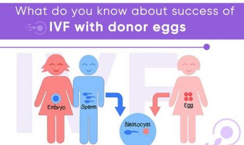 What do you know about the success of IVF with donor eggs?