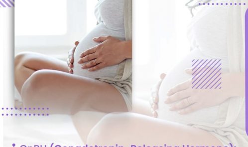 GnRH (Gonadotropin-Releasing Hormone) What Is It and How Does It Work